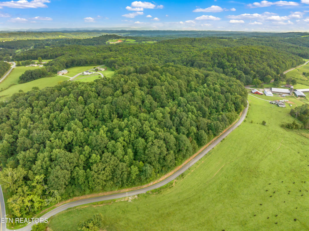 TRACT 2 COUNTY ROAD 279, NIOTA, TN 37826, photo 1 of 16