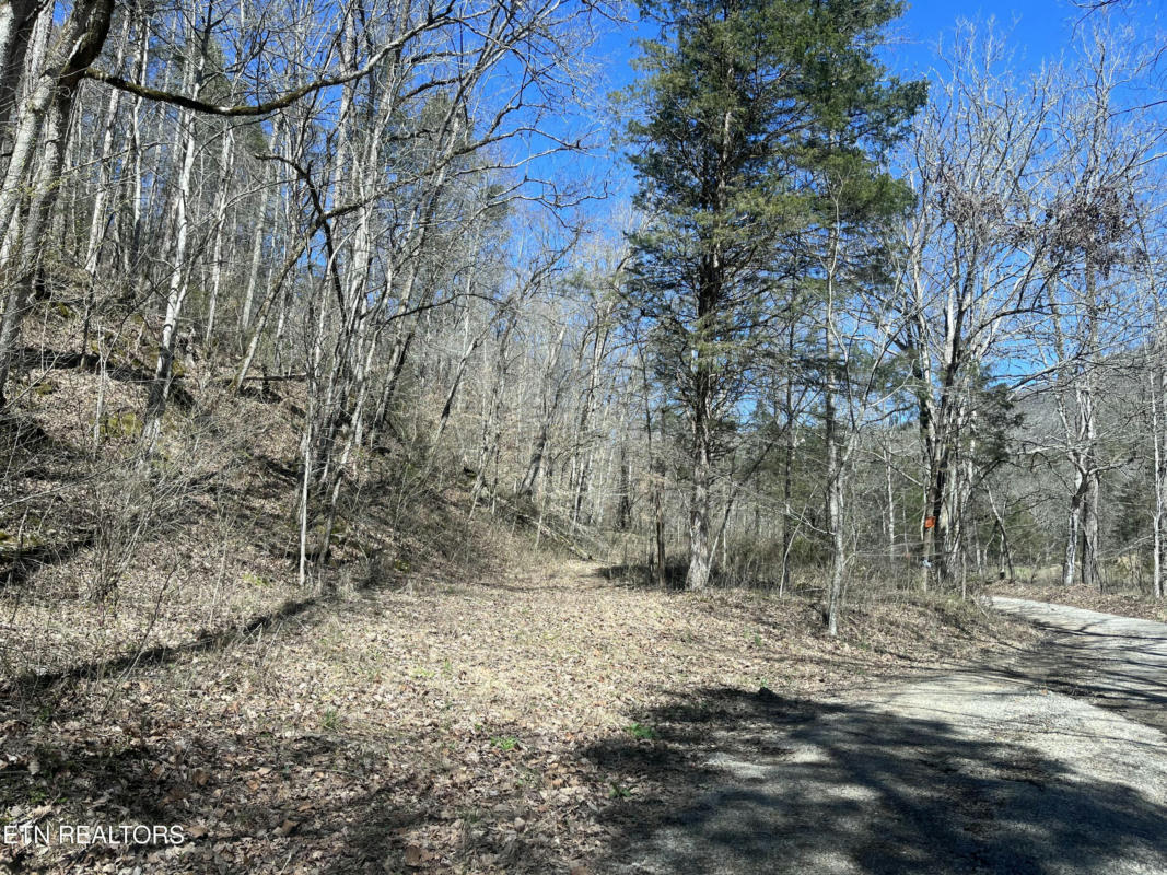 SKAGGS HOLLOW RD, TAZEWELL, TN 37879, photo 1 of 12