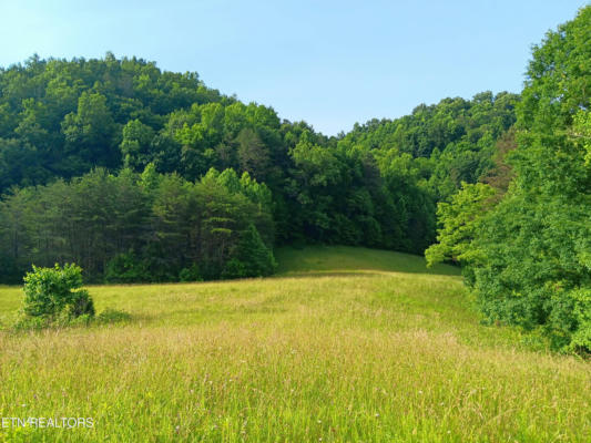 TRACT 3 BLACK VALLEY RD, SNEEDVILLE, TN 37869 - Image 1