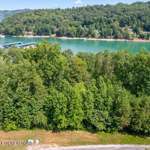 597 LOT NORTH TWO RIVERS LANE, LAFOLLETTE, TN 37766, photo 1 of 11