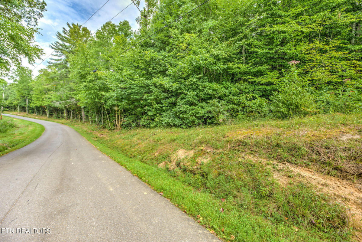 29.82 ACRES FRENCH HAMBY RD, WARTBURG, TN 37887, photo 1 of 3