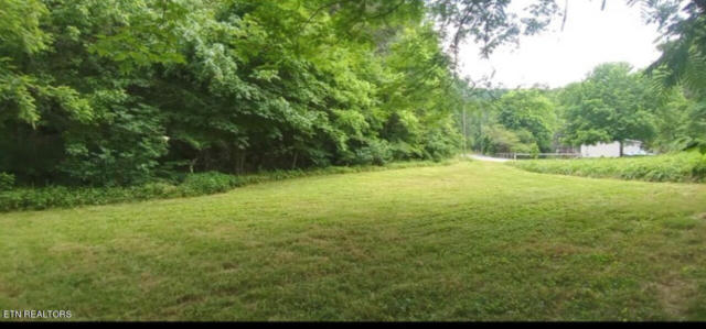 4201 WILHITE RD, COSBY, TN 37722 - Image 1