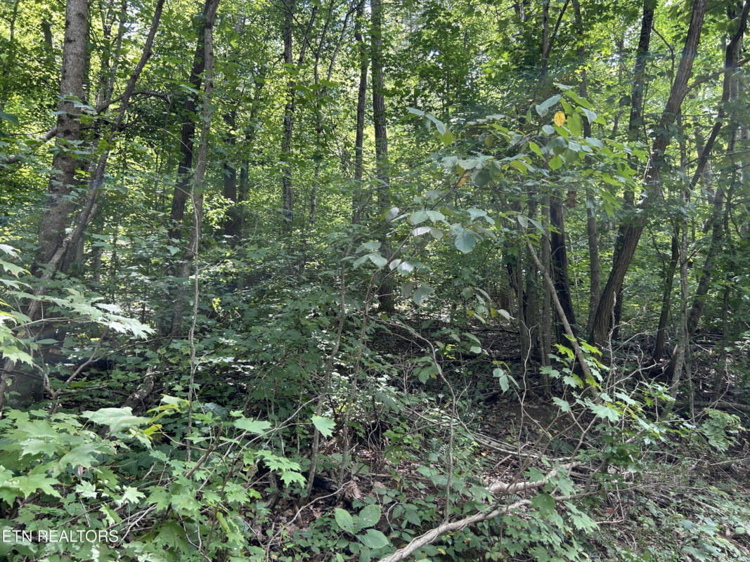 PEARL LOT 20 LANE, MAYNARDVILLE, TN 37807, photo 1 of 2