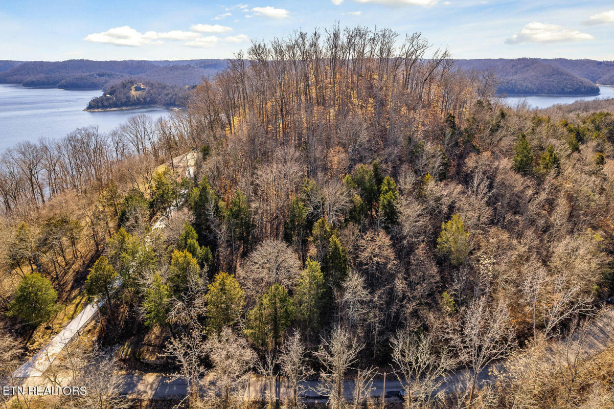 LOT 87 HARBOR POINTE DRIVE, SILVER POINT, TN 38582, photo 1 of 20