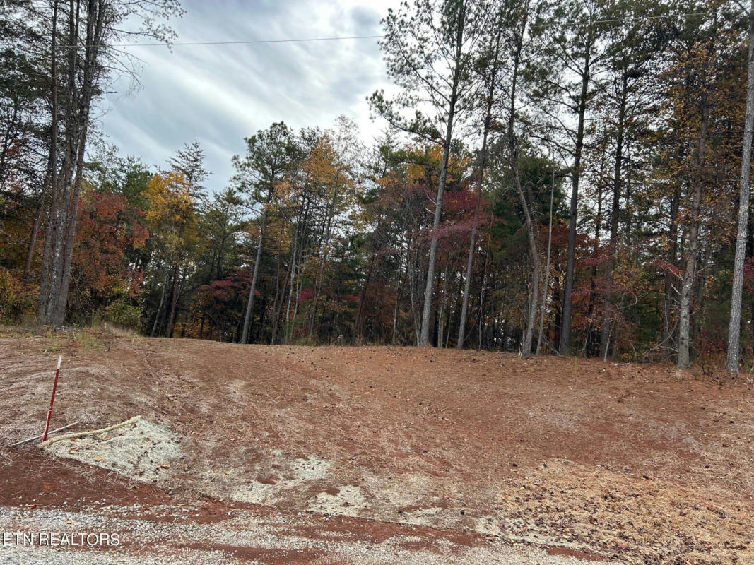 495 CODY LANE, MADISONVILLE, TN 37354 Vacant Land For Sale | MLS# 1247357 |  RE/MAX