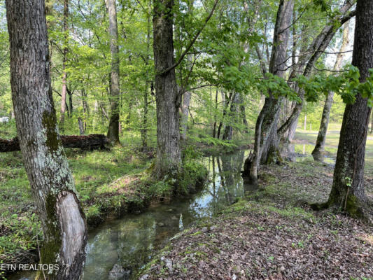 LOT 2 WOMACK HOLLOW ROAD, TEN MILE, TN 37880, photo 4 of 8