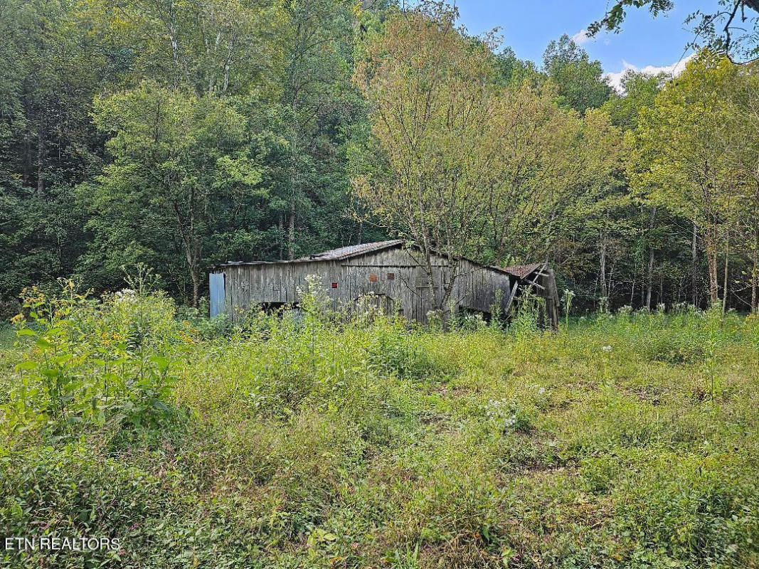 118AC MILL HOLLOW RD, TAZEWELL, TN 37879, photo 1 of 32