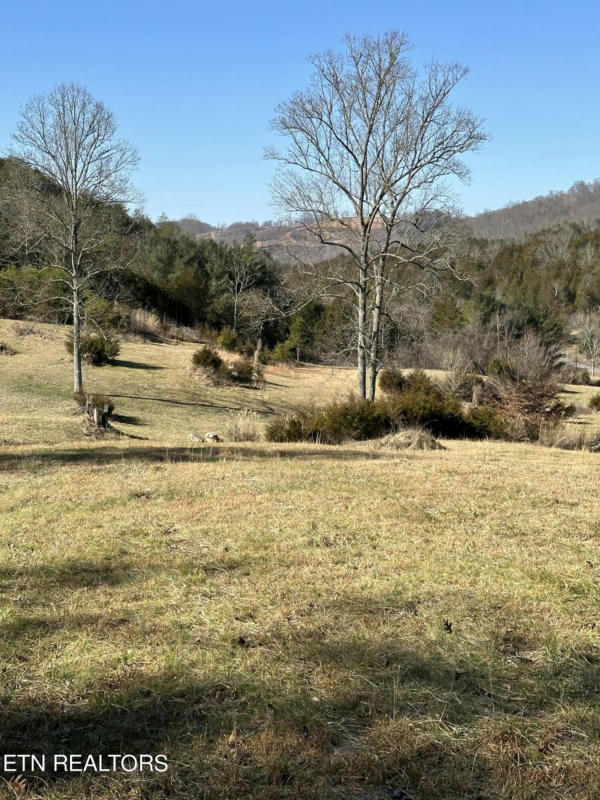 2616 CLINCH MOUNTAIN 49.5 ACRES RD, EIDSON, TN 37731, photo 1 of 60