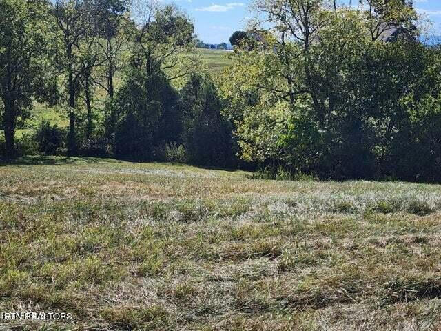 116 LOT RUSSELL BROTHERS RD, SHARPS CHAPEL, TN 37866, photo 1 of 10