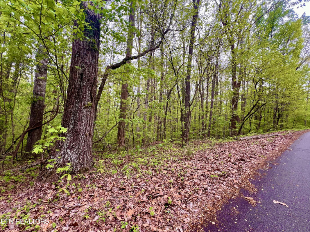 LOT 71&72 POLLY MOUNTAIN RD, MADISONVILLE, TN 37354, photo 1 of 16