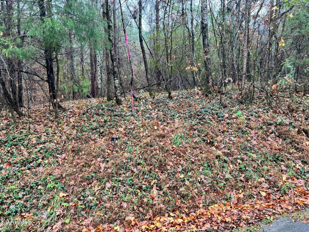 LOT 6R RAYL HOLLOW, DECATUR, TN 37322, photo 1 of 6