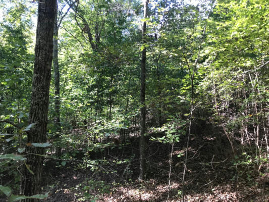 LOT 384 THIEF NECK VIEW DRIVE, ROCKWOOD, TN 37854, photo 3 of 4