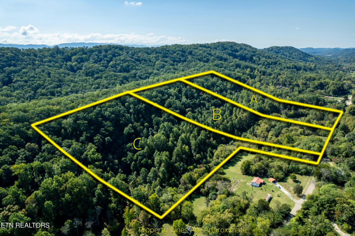 LOT C BAYS MOUNTAIN RD, KNOXVILLE, TN 37920, photo 1 of 4
