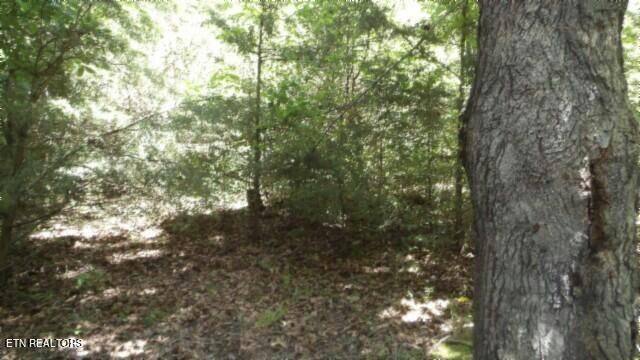 6.90AC ZION HILL RD, COOKEVILLE, TN 38506 - Image 1