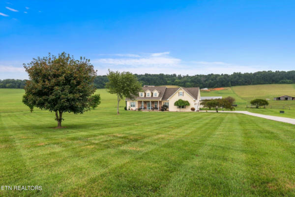 17340 POND CREEK RD, PHILADELPHIA, TN 37846 - Image 1