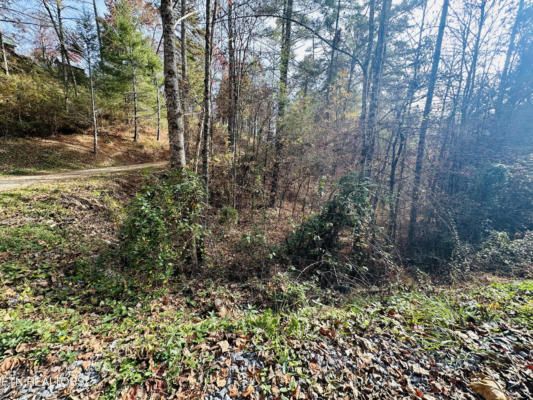 1781 RICH MOUNTAIN WAY, SEVIERVILLE, TN 37876 - Image 1