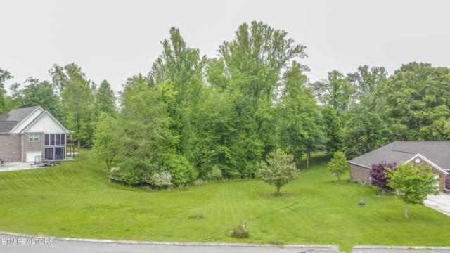 LOT 2A SPRING COVE LANE, SPRING CITY, TN 37381, photo 3 of 19