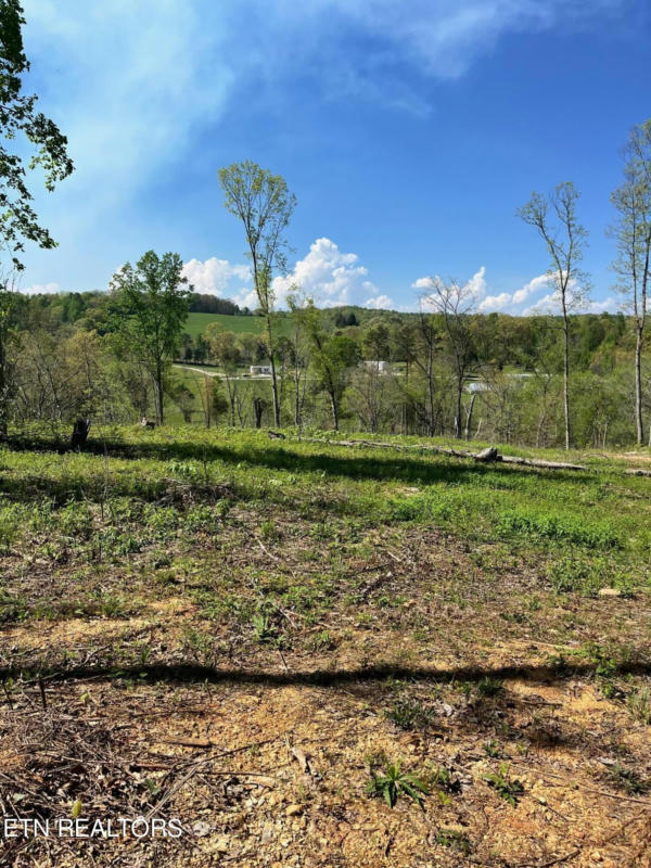 TRACT 2 MILL CREEK RD, ANDERSONVILLE, TN 37705, photo 1 of 9