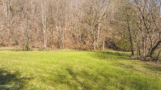 15.65 ACRE WILLIS CHAPEL RD, KYLES FORD, TN 37765, photo 3 of 27
