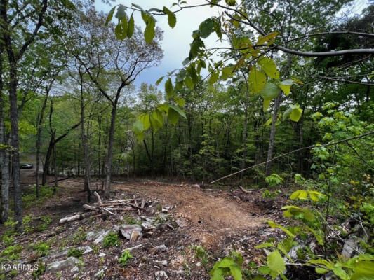 LOT 24 ESCAPE DRIVE, EVENSVILLE, TN 37332, photo 2 of 9