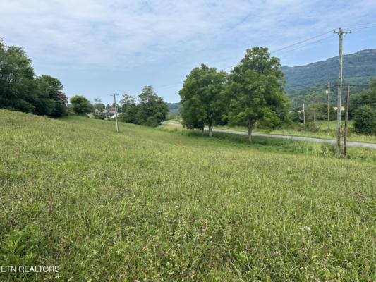 TBD DR THOMAS WALKER RD, ROSE HILL, VA 24281 - Image 1