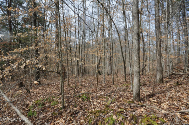 10.02 ACRE OLD TAZEWELL PIKE, LUTTRELL, TN 37779, photo 3 of 6