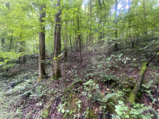 LOT 63 HIWASSEE VIEW DRIVE, JACKSBORO, TN 37757 - Image 1