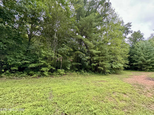 LOT 24, ELK CREEK TR, ONEIDA, TN 37841, photo 4 of 10