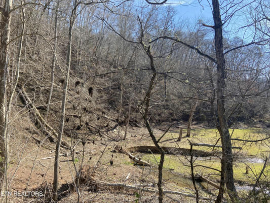 17.7 ACRES MOUNTAIN SHORES RD, NEW TAZEWELL, TN 37825, photo 5 of 8