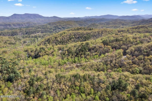 LOT TR F FOREST TRAILS DRIVE, SEVIERVILLE, TN 37876, photo 3 of 16