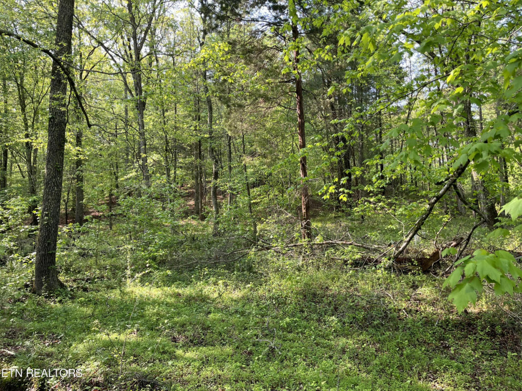 LOT 2 WOMACK HOLLOW ROAD, TEN MILE, TN 37880, photo 1 of 8
