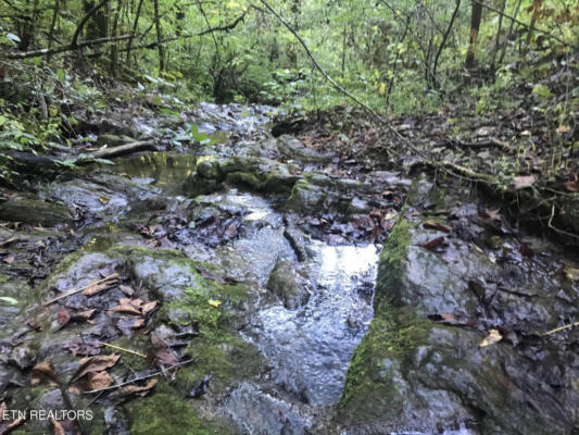 60.83 ACRE DANA COPE HOLLOW RD, THORN HILL, TN 37881, photo 2 of 49