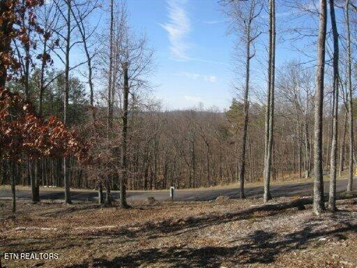 LOT #32 BAYSIDE BLVD, BEAN STATION, TN 37708, photo 1 of 3