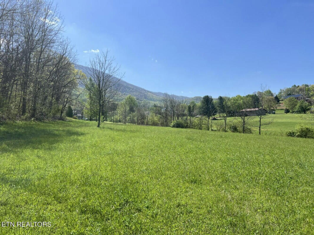 0 SPRING VIEW DRIVE, SEVIERVILLE, TN 37862, photo 1 of 18