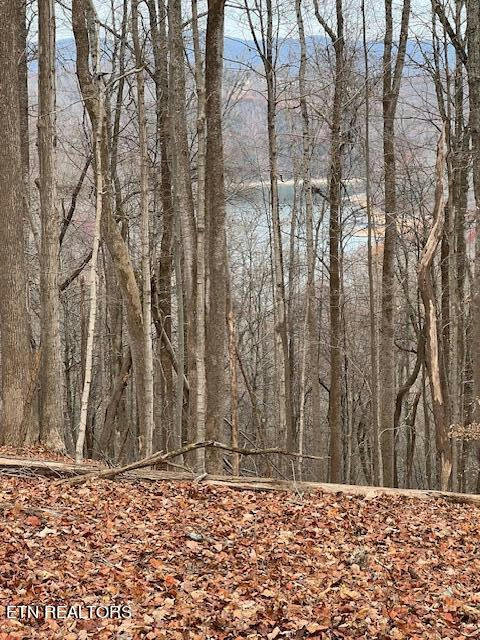 RUNNING DEER TRAIL, CARYVILLE, TN 37714, photo 1 of 6