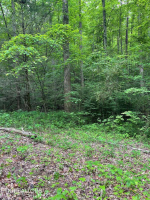 LOT 2 OLD CADES COVE RD, TOWNSEND, TN 37882 - Image 1