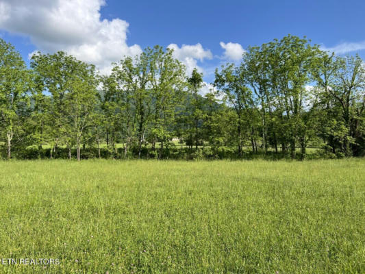 LOT A TARWATER LANE, SEVIERVILLE, TN 37862, photo 3 of 31