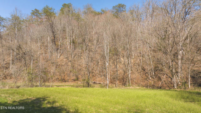 15.65 ACRE WILLIS CHAPEL RD, KYLES FORD, TN 37765, photo 4 of 27
