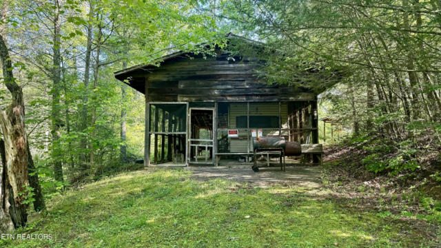 219 TOM HENRY RD, TOWNSEND, TN 37882 - Image 1