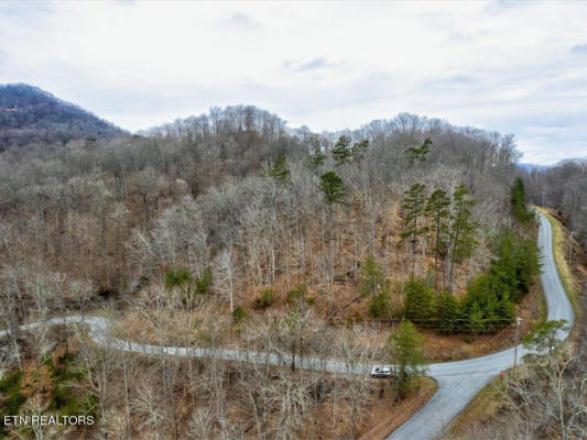 LOT 23 MOUNTAIN SHORES RD, NEW TAZEWELL, TN 37825, photo 3 of 28