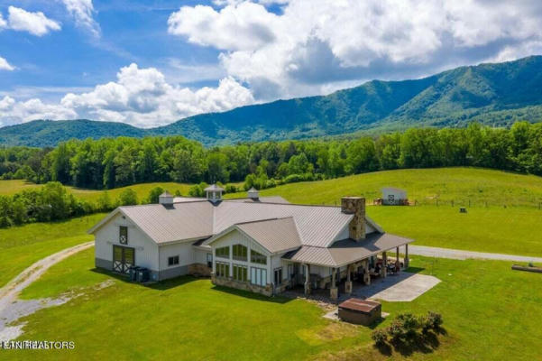 725 DRY VALLEY RD, TOWNSEND, TN 37882 - Image 1