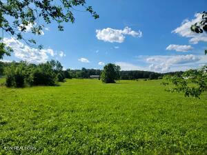6.87 ACRES OLD DIXIE HWY, EVENSVILLE, TN 37332 - Image 1