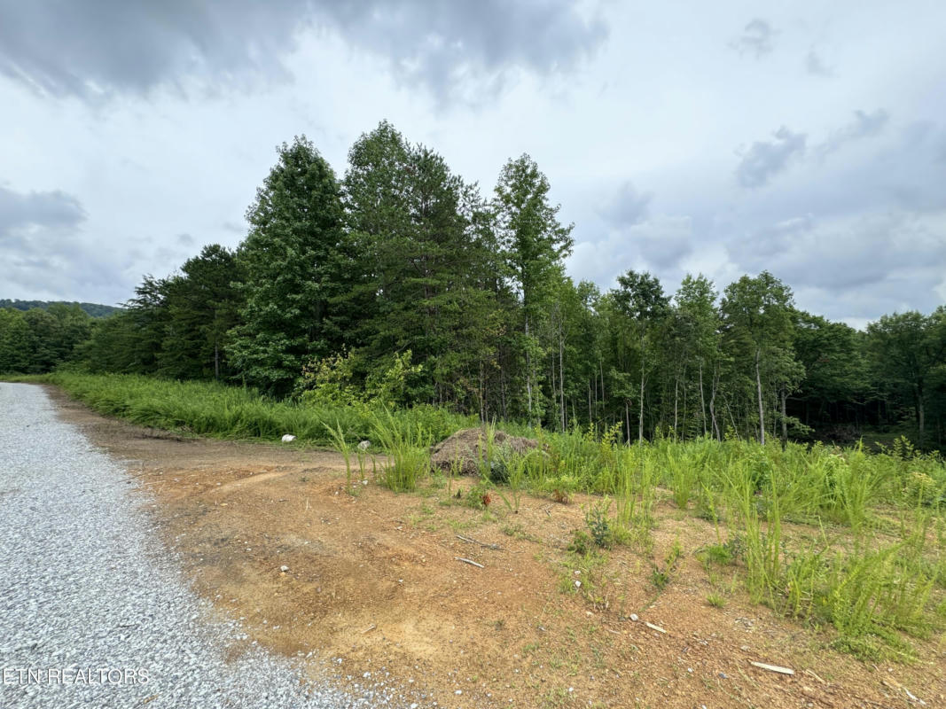 CORDELL MTN PVT(TRACT 10) LANE, WINFIELD, TN 37892, photo 1 of 9