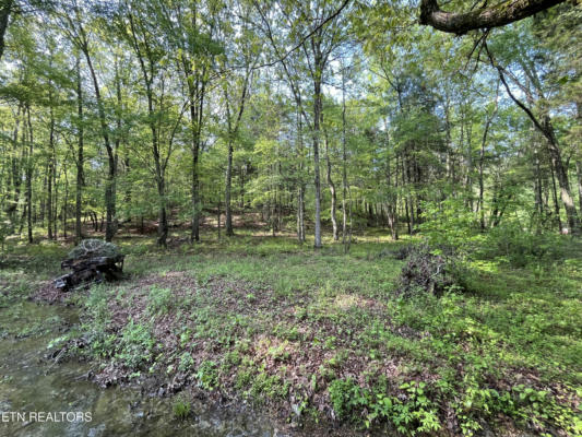 LOT 3 WOMACK HOLLOW ROAD, TEN MILE, TN 37880, photo 2 of 4