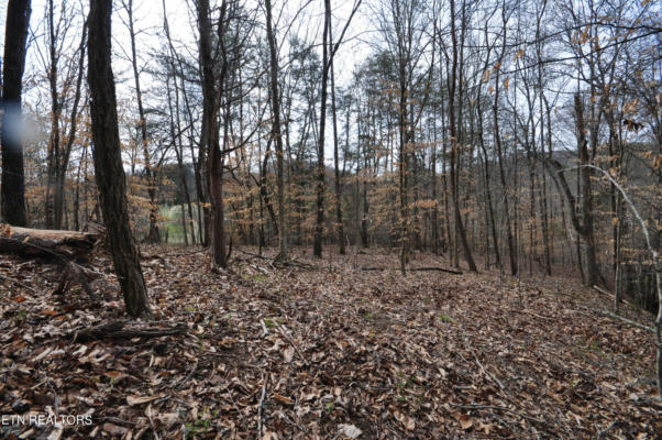 10.02 ACRE OLD TAZEWELL PIKE, LUTTRELL, TN 37779 - Image 1