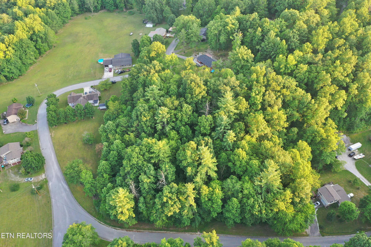 HC SMITH DRIVE, ONEIDA, TN 37841, photo 1 of 21