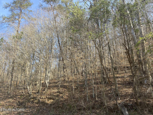 17.7 ACRES MOUNTAIN SHORES RD, NEW TAZEWELL, TN 37825, photo 4 of 8