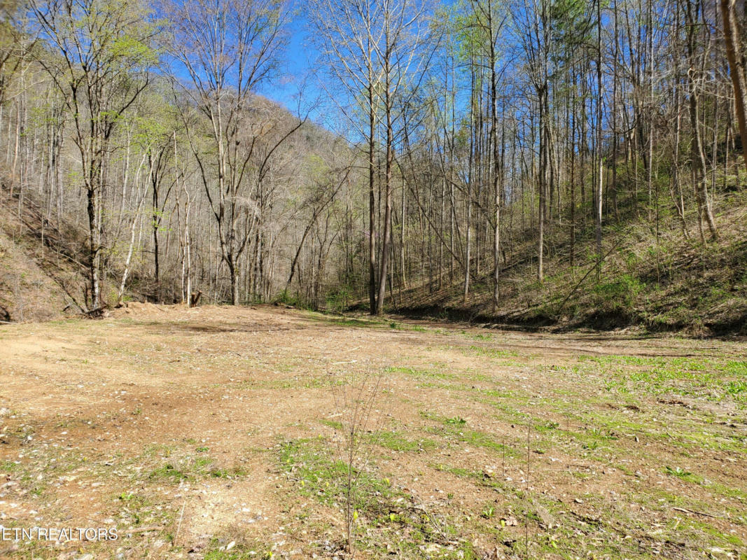 7044 CANEY VALLEY RD, TAZEWELL, TN 37879, photo 1 of 34