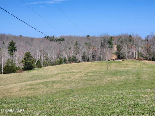 46 ACRES ON HIGH POINT RD, DEER LODGE, TN 37726, photo 4 of 5