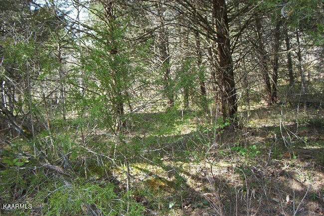 18.65AC POORE HOLLOW LANE, HESTAND, KY 42151, photo 1 of 17